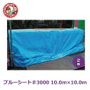 メーカー直送・2枚セット/ブルーシート♯3000 10.0m×10.0m