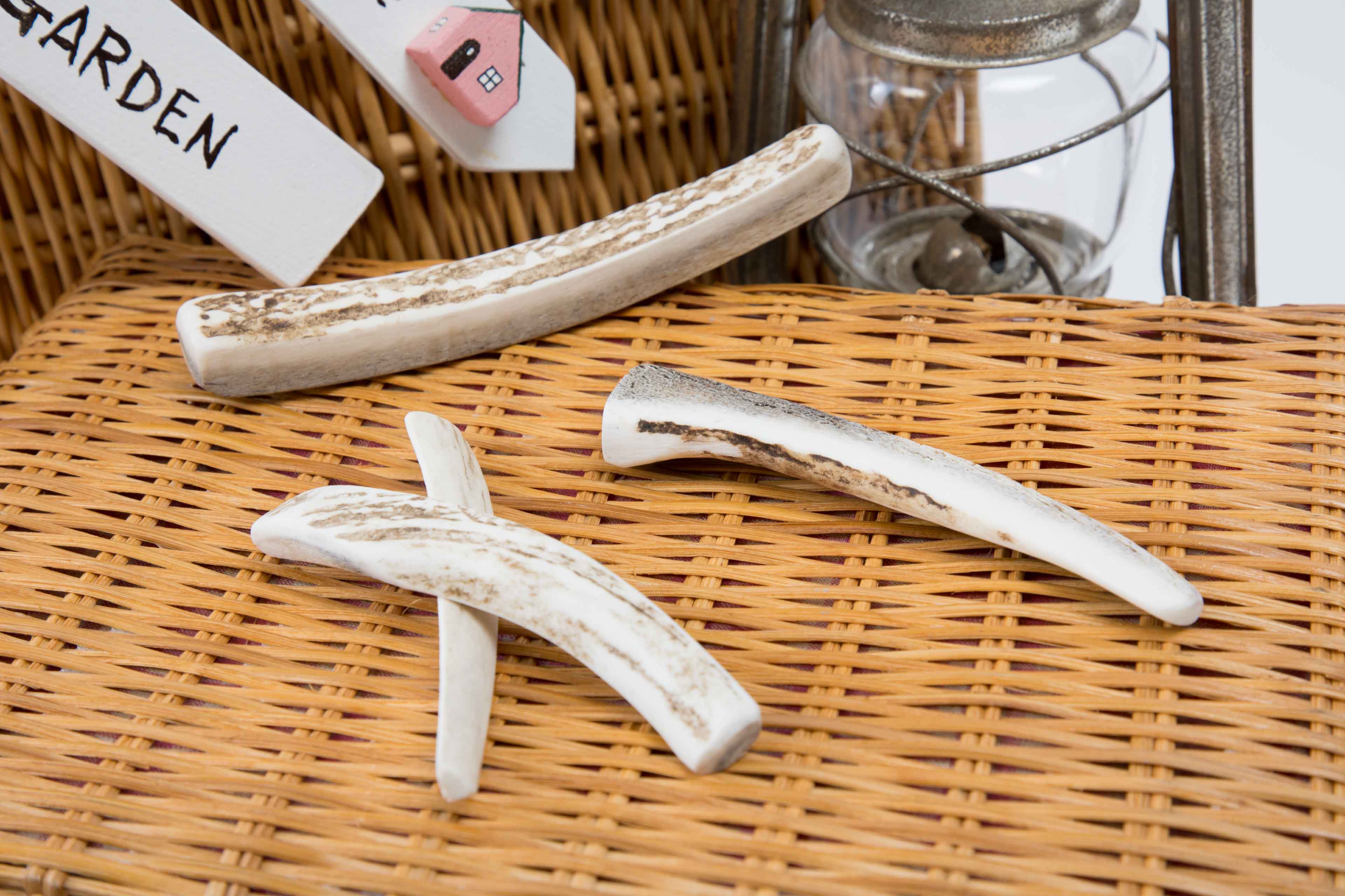 犬 歯磨き エゾシカの角ガム 犬おもちゃ 犬おやつ 天然素材歯みがき SS S M L 犬用品 お手入れ用品 自然素材 はみがき 小型犬 中型犬 大型犬 噛むおもちゃ 鹿がむ ドッグ 歯磨きガム トイ