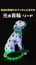 首輪とリードセット 犬リードと首輪 LED光るリード 犬 散歩 ライト 夜 ペット 充電式 小型犬 中型犬 大型犬 夜のお散歩リード ライト付リード 充電式リー...