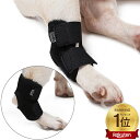 床ずれ予防サポーター 犬用 介護用品 サポーター ペット 歩行補助 老犬 シニア 介護 老犬介護 犬骨折治療 ペット用品 高齢犬 犬用膝サポーター 肘当て 床ず...