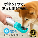 【Ranking 2位】犬 ウォーターボトル ステンレスボトル 魔法瓶 水筒 冷水 ウオーターボトル 給水ボトル 熱中症 猛暑 給水 散歩 700ml 水飲み器 携帯 給水器 犬散歩 ペット ウォーターボトル タンブラー 携帯用 給水機 水 水飲み 水分補給 散歩用 シャワー ボトル 犬水飲み器