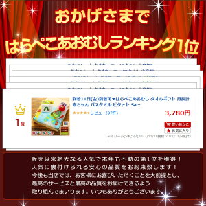 4月25日(木)到着可能★ はらぺこあおむし タオルギフト 身長計 赤ちゃん バスタオル ビタット Sassy おしりふきのふた 名入れ 刺繍 名前入り イニシャル 出産祝い 豪華3点 女の子 男の子 おもちゃ ベビーグッズ プレゼント あす楽対応