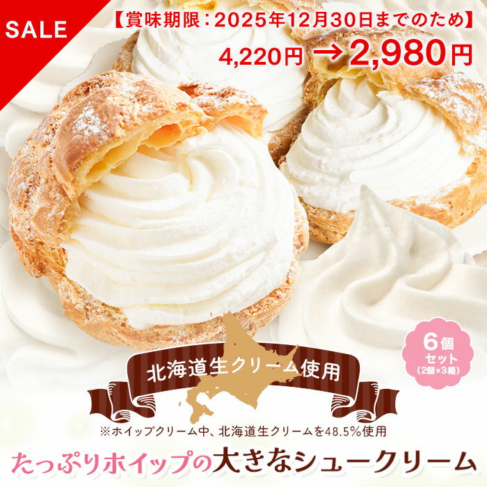 【賞味期限：2025年12月30日までの商品のため、数量限定セール！2,980円】ご褒美スイーツ たっぷりホイップのシュークリーム6個セット RC6 | 大きい シュークリーム 冷凍 誕生日 生クリーム クリームたっぷり おうちカフェ おやつ 手土産 パーティー 送料無料