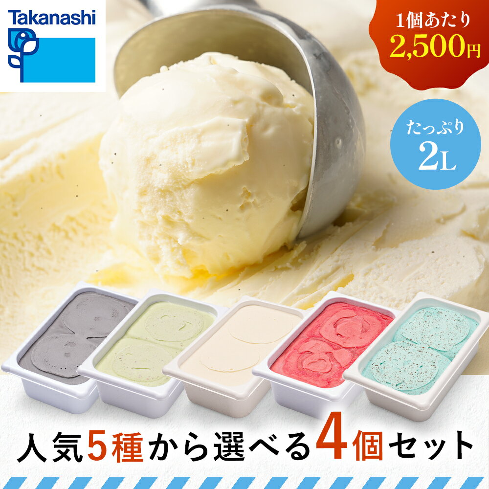 タカナシ人気5種から選べる4個セット | タカナシ アイスクリーム アイス 業務用 大容量 2個 バニラ 黒ごま チョコミント ブラッドオレンジ ピスタチオ パフェ クレープ フロート レストラン カフェ 喫茶店 飲食店 送料無料 学園祭 文化祭 屋台