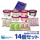 【ギフト対応あり】ハーゲンダッツ・横濱馬車道あいすもなか14個セット(カップ6個+もなか8個)HT62|送料無料 ハーゲンダッツ カップ アイス アイスクリーム カップアイス スイーツ 詰め合わせ バニラ ストロベリー ミルク 熨斗 のし ギフト タカナシ 中元 御中元 お中元