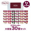 ギフト対応可★ハーゲンダッツ大容量30個セット HD30S|送料無料 カップ アイス アイスクリーム カップアイス スイーツ 定番 フレーバー 詰め合わせ バニ...