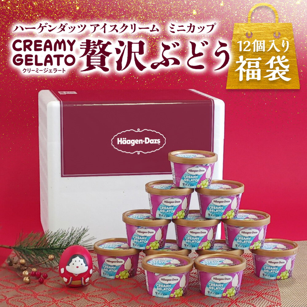 送料無料 福袋 CREAMYGELATO贅沢ぶどう12個セット HDGG | 数量限定 ハーゲン ダッツ アイスクリーム ミ..