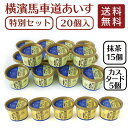 【ポイント20倍】送料無料 タカナシ横濱馬車道あいす 20個 | 抹茶 スイーツ ギフト ドルチェ お菓子 カスタード タカナシ乳業 タカナシミルク 横濱馬車道 神奈川県 アイス アイスミルク アイスクリームギフト アイスクリン ギフト 詰め合わせ アイスギフト お歳暮 クリスマス