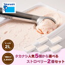 タカナシ ストロベリーアイス人気5種から選べる2個セット│タカナシ タカナシミルク アイスクリーム アイス 業務用 大容量 2個 ストロベリー 苺 いちご スト...
