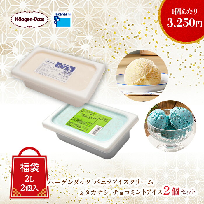 【福袋2026】 ハーゲンダッツ 業務用バニラアイスクリーム・タカナシ業務用チョコミント 2個セット ...
