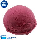 送料無料 タカナシ ぶどうシャーベット 2リットル | タカナシ乳業 タカナシミルク アイスクリーム業務用 アイス シャーベット ソルベ 果汁 果肉 キャンベル...
