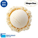 送料無料 ハーゲンダッツ バニラ 業務用2リットル | タカ...