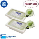 ハーゲンダッツ 業務用 2L × 2個 (グリーンティー・グリーンティー)アイスクリーム アイス 業務用 大容量 2個 高級 抹茶 ハーゲン ダッツ パフェ ク...