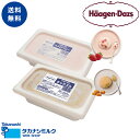 ハーゲンダッツ 業務用 2L × 2個 (ストロベリー・キャラメル)アイスクリーム アイス 業務用 大容量 2個 高級 ハーゲン ダッツ ストロベリー キャラメ...