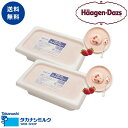 ハーゲンダッツ 業務用 2L × 2個 (ストロベリー・ストロベリー)アイスクリーム アイス 業務用 大容量 2個 高級 ハーゲン ダッツ パフェ クレープ フ...