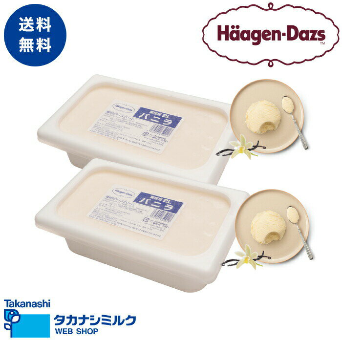 ハーゲンダッツ 業務用 2L × 2個 （バニラ・バニラ） アイスクリーム アイス 業務用 大容量 2個 高級 バニラ ハーゲン ダッツ パフェ クレープ フロート レストラン カフェ 喫茶店 飲食店 送料無料のサムネイル