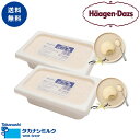 ハーゲンダッツ 業務用 2L × 2個 (バニラ・バニラ) アイスクリーム アイス 業務用 大容量 2個 高級 バニラ ハーゲン ダッツ パフェ ..