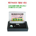 温ねつ灸 火を使わないタイプ 電気 電子のお灸 お灸療法 お灸 肩こり 腰痛 冷え性 コリや痛み びわ葉温灸 びわ葉