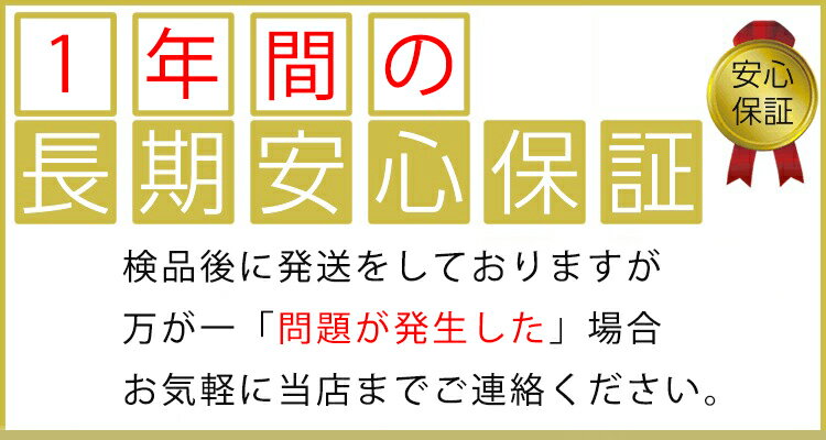 電動バイク MOBAYELL 公道 走行可能 ナンバー取得　原付 折り畳み 街乗り 通勤 通学 バイク 配達 デリバリー アウトドア キャンプ 原動機付自転車 電動スクーター サイクリング おしゃれ スイスイ 送料無料