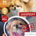 SALE 1000円オフ【名入れ時計 ペット 写真入り ペットグッズ 敬老の日 位牌 ペット メモリアルグッズ】写真入り時計 お名前時計.com 丸型 20cmデザイン 名入れ時計 名入れギフト 掛け時計 置時計 写真入りオーダーメイド ギフト プレゼント 【送料無料】SS