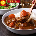 北海道から沖縄・離島まで日本全国送料無料！大阪発 食べ比べカレー2食 お試しセット セール