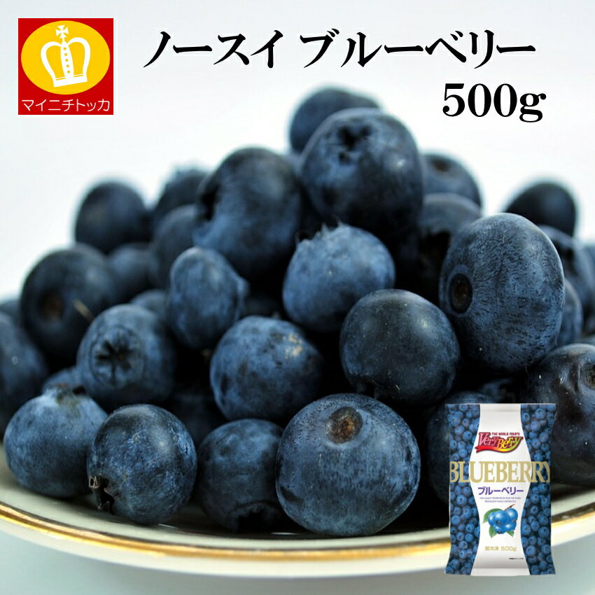 ノースイ ブルーベリーフローズン500g ヨーグ...の商品画像