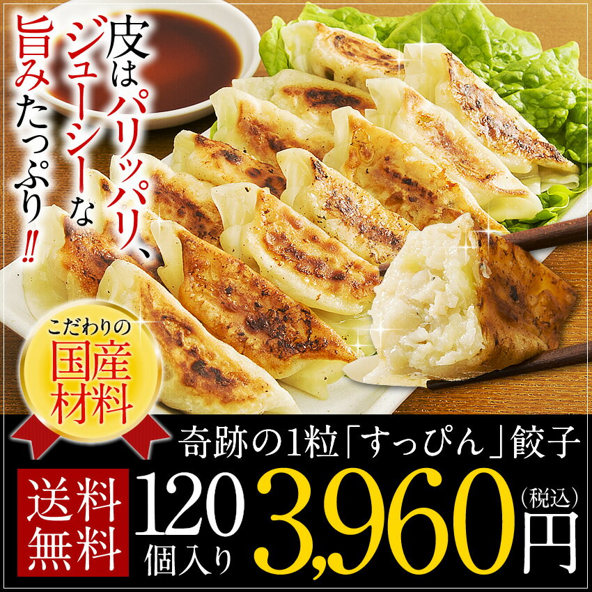 遂に700万個完売！送料無料 レビュー4.5以上☆奇跡の一粒「すっぴん」餃子 絶品タレなし餃子120個★約2.3kg！国産豚肉・国産野菜使用★在庫処分商品 約120個分 約20人前！冷凍食品
