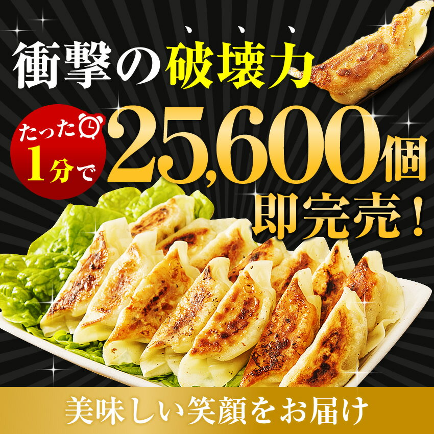 餃子食べ比べセット（合計160個）餃子100個と生姜餃子60個の2種類 生姜餃子はにんにく＆にら抜きだから匂わない もつ鍋トッピング ぎょうざ ギョウザ おかず お弁当 冷凍食品 ギフト お歳暮 送料無料 クリスマス プチギフト 2