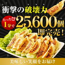 餃子食べ比べセット（合計160個）餃子100個と生姜餃子60個の2種類 生姜餃子はにんにく＆にら抜きだから匂わない もつ鍋トッピング ぎょうざ ギョウザ お歳暮 送料無料 クリスマス プチギフト 2