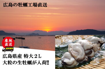 ＼カキ 最安値挑戦!! 特大2Lサイズ400g 広島県産 牡蠣鍋2-3人前セット 8種類スープ 送料無料 加熱用 業務用 メガ盛り カキフライ 鍋　牡蠣 かき