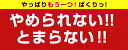 長崎名物のおつまみ　3袋セット（たこカマ 1袋）（ぬれいか天 1袋）（焼貝ひも 1袋） 2