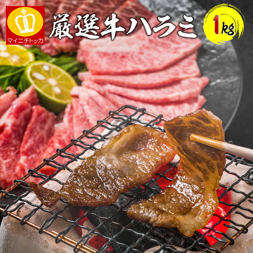 タレ漬け牛ハラミ大容量約1kg メガ盛 BBQ 丼ぶり 焼肉 焼き肉 ご飯やビールに相性抜群