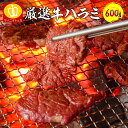 ^Ђn~600g zz炩ȊݐSnIтr[ɑQ@K BBQ Ԃ ē Ă