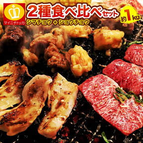 人気の2種焼肉セット シマチョウ500g×ショウチョウ500g＝合計1キロホルモンセット 送料無料 当店人気牛ホルモン 秘伝のタレ