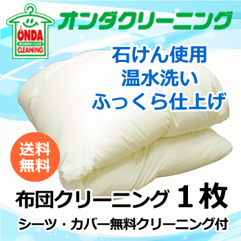 布団クリーニング1枚　宅配　羽毛布団　温水丸洗い ふとんクリーニング　【送料無料】(北海道・沖縄・離島を除く）