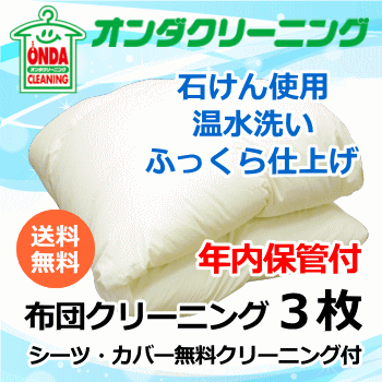 【年内保管付】羽毛布団クリーニング 3点 羽毛布団 シングル セミダブル ダブルサイズOK 臭い解消 ふっくら仕上げ 温水丸洗い【送料無料】(北海道・沖縄・離島除く)