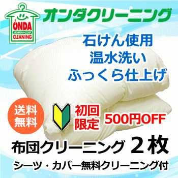 ★初回限定500円OFF　布団クリーニング2枚　宅配　羽毛布団　シングル・ダブルサイズ　丸洗い【送料無料..