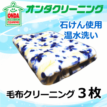 毛布クリーニング 3枚 宅配 オプションで保管・除菌抗菌加工・防ダニ加工有 ダブルサイズまでOK【送料無料 (北海道・沖縄・離島除く)】