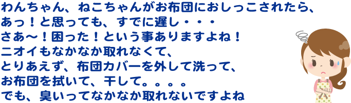 猫 犬のおしっこの臭い取り専用 布団クリーニング 1枚 送料無料 消臭 羽毛布団 1枚 丸洗い 北海道 沖縄 離島除く オンダクリーニング猫 犬の おしっこの臭いでお困りの布団はお任せください 丸洗いと臭い取り加工で 衛生 掃除用品 スッキリ消臭 丸洗い きれいな