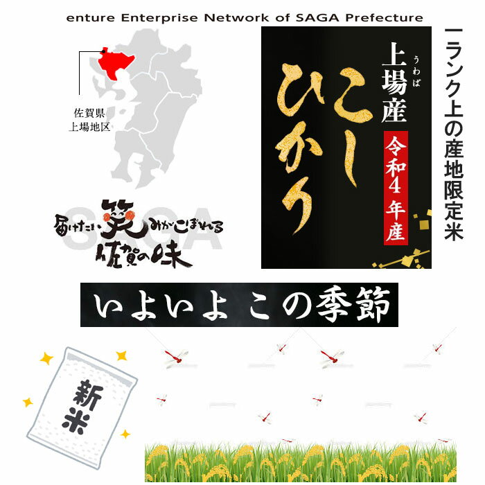 【新米入荷しました】コシヒカリ 新米 2022年産 令和4年産 白米 10Kg 精米...