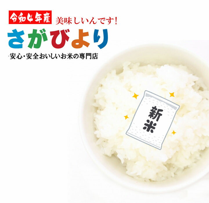 【 白米 おすすめ さがびより】 プレミアム米 10Kg 令和4年 送料無料 佐賀県産 最高級 ブランド米 精米 仕立て 大粒 厳選 極上 佐賀びより 美味しい 銘柄米 2022年 九州 国産米 単一原料 無洗米 1等米 特A 人気 売れ筋 有機栽培 減農薬 定期便 ギフト グルメ 特産品