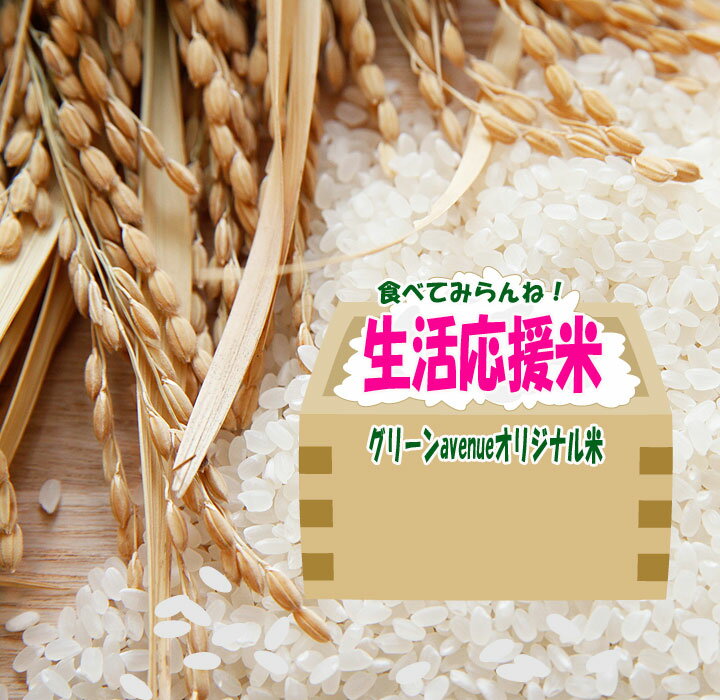 米 20Kg おすすめ お買い得 激安 白米 令和4年産米入り 複数年産米 精米 ブレンド米 オリジナル 業務用米 送料無料 国産 産地直送 複数原料米 安いお米 生活応援米 厳選 九州のお米 2022年産新米入り 国産米100% 新米 コメ こめ お得 低価格米 特価 まとめ買い セール