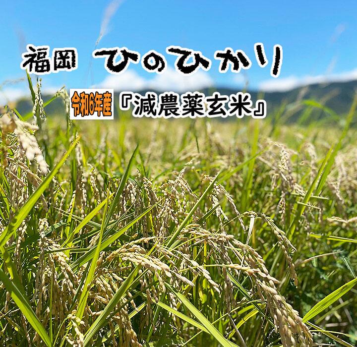 楽天市場】日本晴 玄米 30kgの通販 楽天市場】日本晴 玄米 30kgの通販