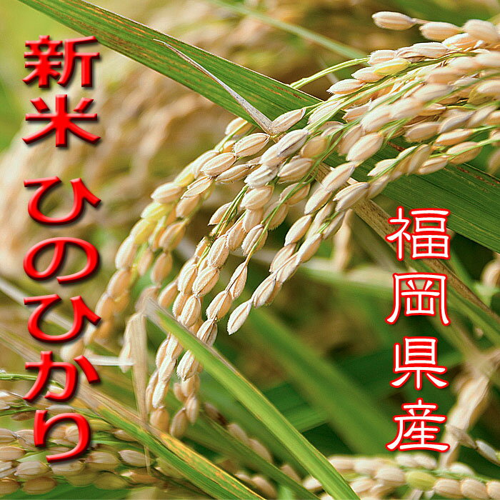 【おすすめの玄米】新米 10Kg 令和2年産 減農薬 ひのひかり 玄米 送料無料 福岡県産 ふるさと米 産地直送 ヒノヒカリ 美味しい うまい お米 厳選米 九州 2020年産　国産 米 10キロ 健康米 玄米食 胚芽米