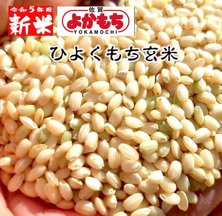 【ふるさと納税】森町産「葵美人」もち米10kg（12カ月連続お届け）　【定期便・米・餅／こめ・もち／定期便・頒布会】