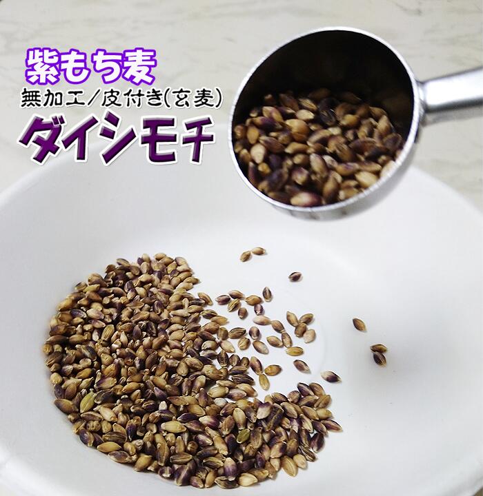 NEW 紫もち麦 皮付き もち麦 新鮮 旬 九州産 1Kg 大麦 玄麦 麦ごはん 麦飯 ヘルシー 送料無料 モチ麦 無農薬 残留農薬ゼロ むらさきもち麦 令和5年 国産 ダイシモチ 自然食品 小分け 1キロ 2023年 無加工 コレステロール低減 血糖値低下 メタボ対策 低カロリー 内臓脂肪減少