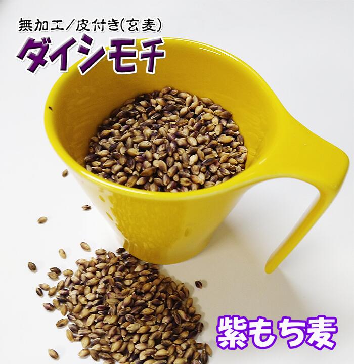 紫もち麦 5Kg (1Kgx5) もちむぎ 令和5年産 2023年産 無農薬 玄麦 皮つき 無加工 もち麦ごはん ヘルシー 美味しい 九州産 自然栽培 雑穀米 モチ麦 大麦 残留農薬ゼロ 送料無料 産地直送 特産品 むらさき麦 ダイシモチ コレステロール低減 血糖値低下 メタボ対策 低カロリー