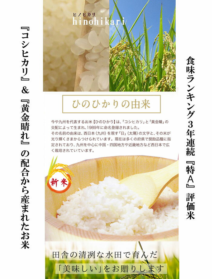 【令和5年産 新米 20Kg お買い得 New】 ひのひかり 減農薬 特別栽培 白米 精米 仕立て 送料無料 福岡県産 ふるさと米 産地直送 ヒノヒカリ 新鮮 旬 美味しい 単一原料米100% 厳選米 九州のお米 2023年産 10Kgx2個(20キロ) 人気 おすすめ 売れ筋 格安 まとめ買い お得 驚安 3