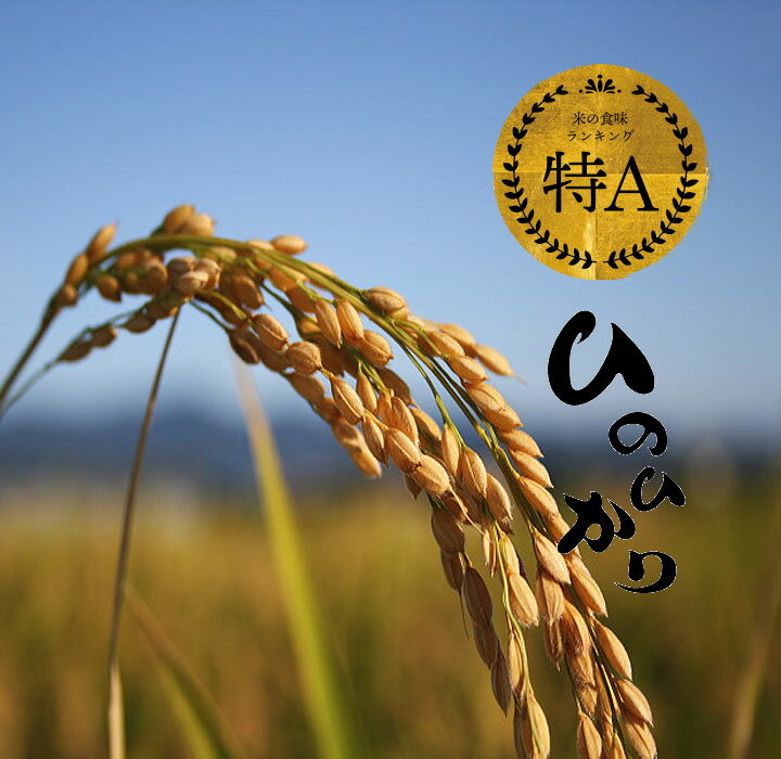 楽天市場】ササニシキ 無農薬(玄米|米・雑穀):食品の通販 楽天市場】ササニシキ 無農薬(玄米|米・雑穀):食品の通販