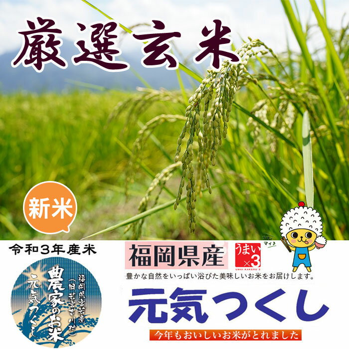 【元気つくし 玄米 新米 おすすめ】2021年産 新米 10Kg 令和3年産 送料無料 福岡県産 最高級米 特産品 ふるさと米 産地直送 げんきつくし 美味しいお米 うまいお米 厳選米 九州のお米 国産米 安い 無洗米 胚芽米 特A米 人気 売れ筋 げんまい 特別栽培 減農薬 定期便 ギフト